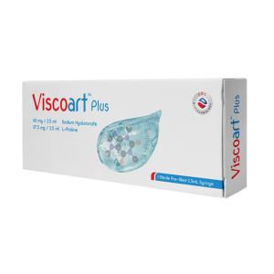 Viscoart 60 mg